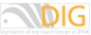 DIG-Logo