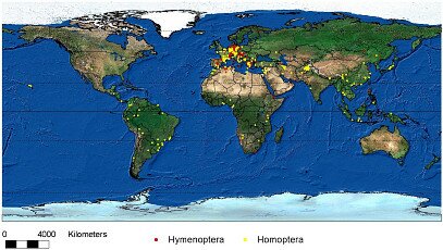 GIS und Kartierung